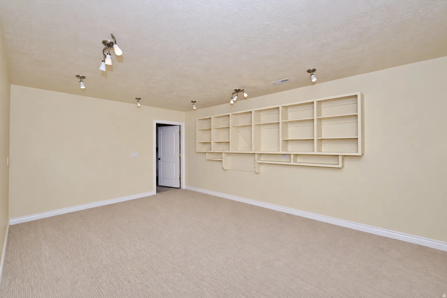 Built-in shelving, track lighting, neutral wall color, and carpeted flooring