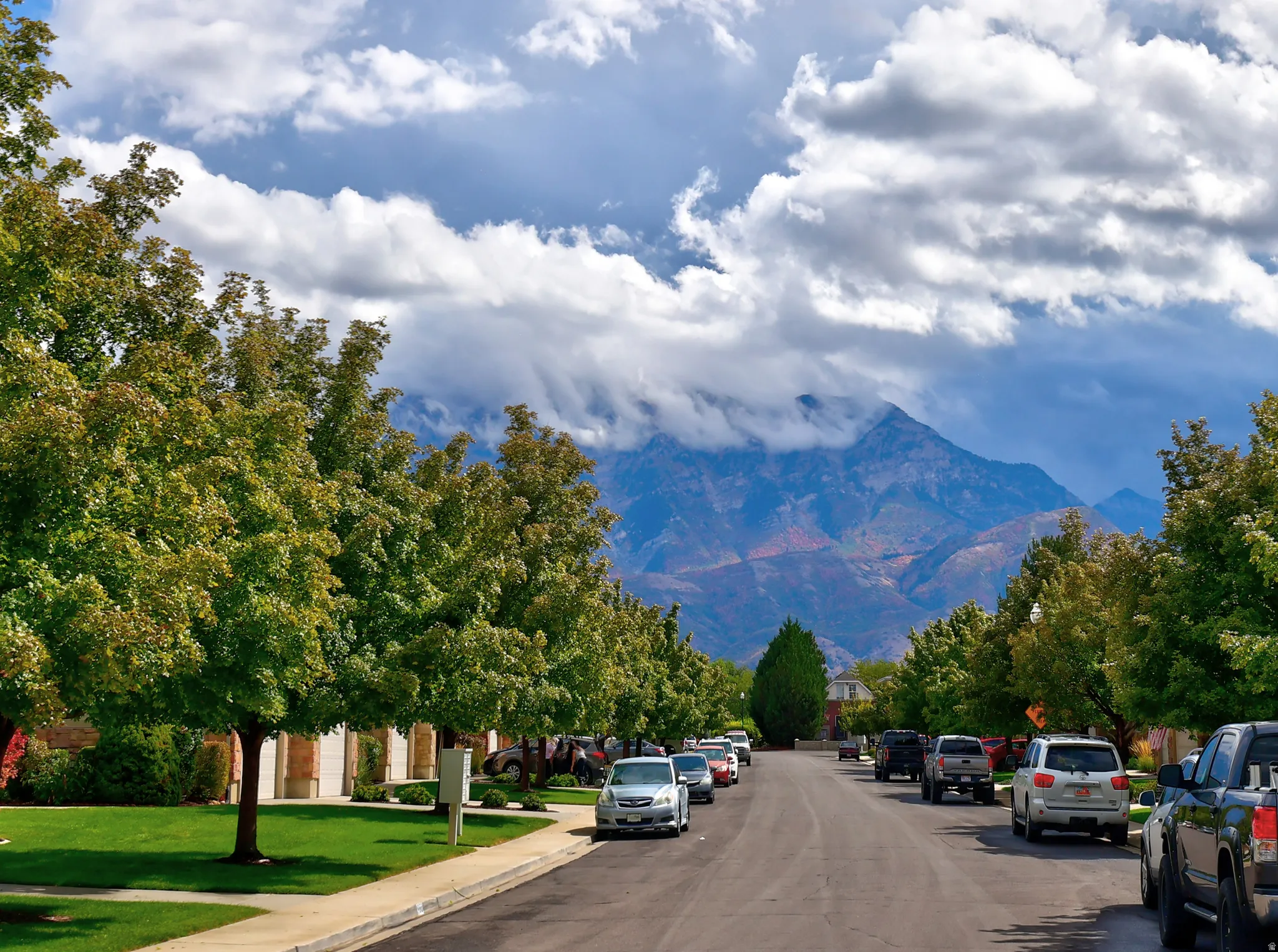 Tree-lined street with mature foliage and mountain backdrop