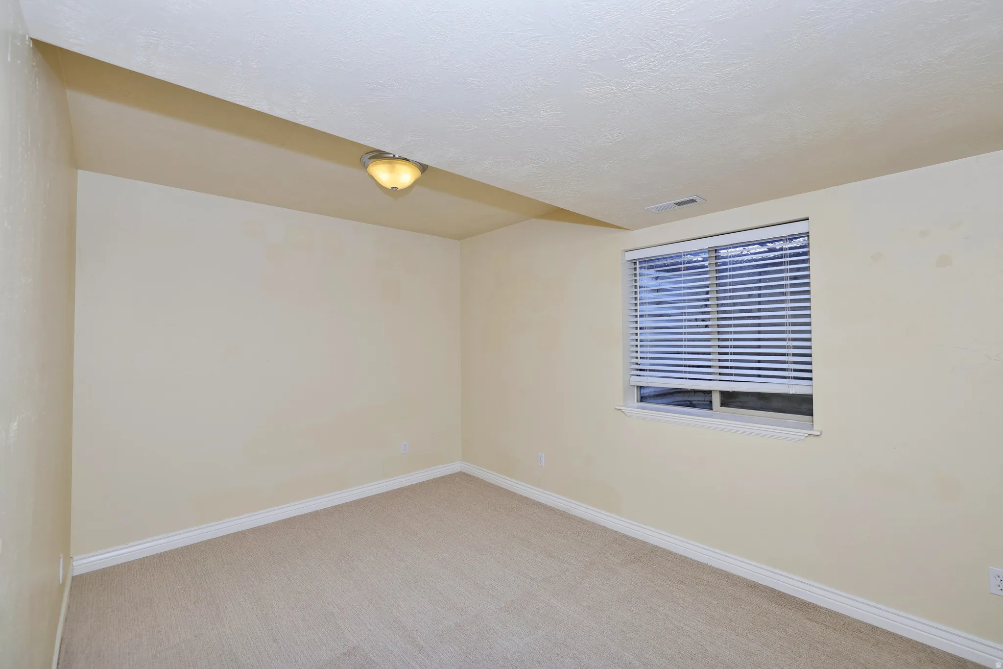 Carpeted flooring, window with blinds, ceiling-mounted light fixture, and neutral painted walls