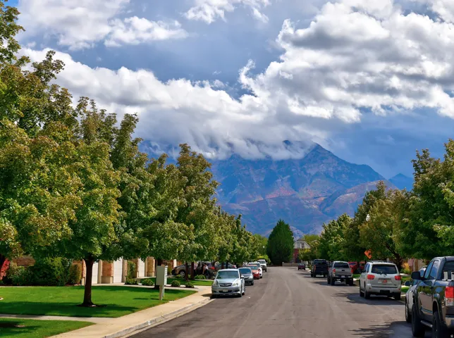 Tree-lined street with mature foliage and mountain backdrop