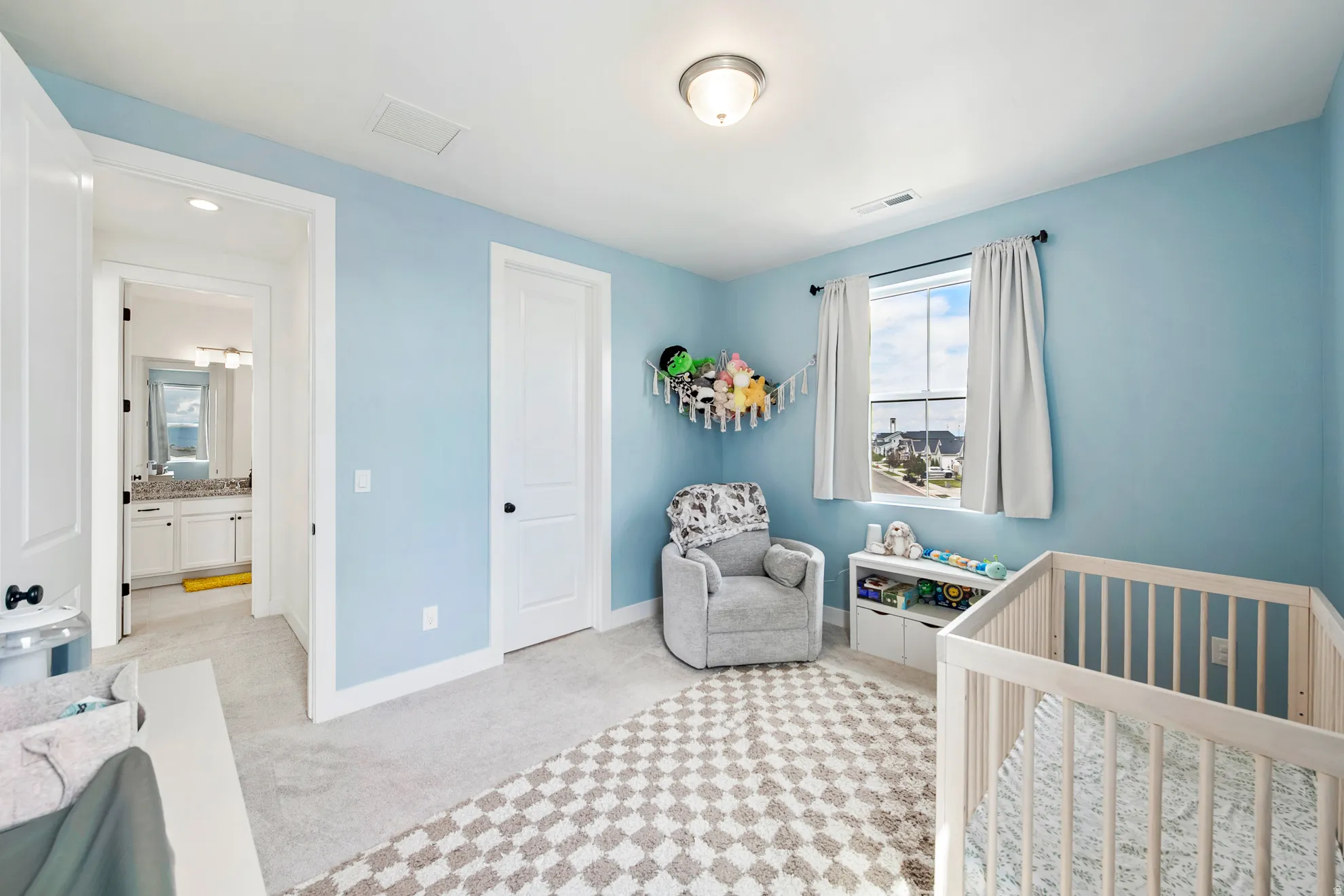 Plush carpeted flooring, a single window, and a ceiling-mounted light fixture
