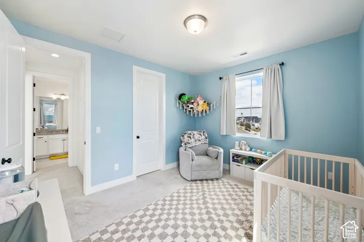 Plush carpeted flooring, a single window, and a ceiling-mounted light fixture
