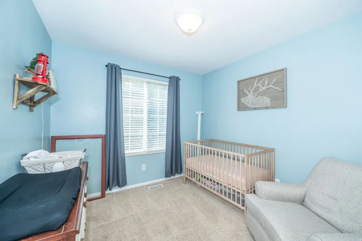 Carpeted room featuring a single window with blinds and curtains, and a ceiling-mounted light fixture