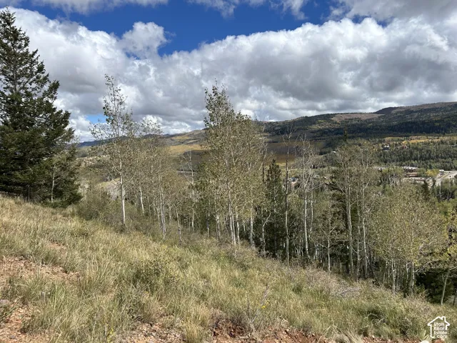 Sloping terrain with mature trees, scattered aspen groves, and distant mountain ranges