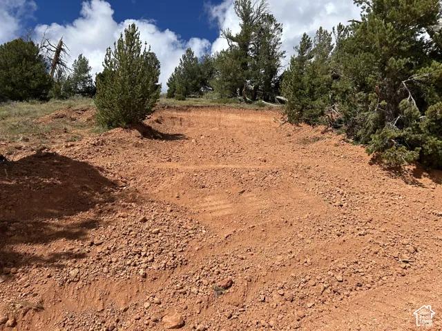 Red earth terrain with scattered pine trees