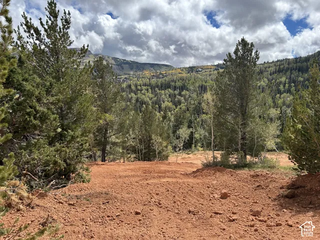 Cleared building area with surrounding mature trees and expansive mountain scenery
