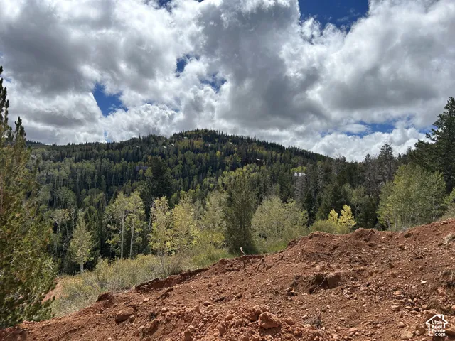 Rolling hillside terrain with a diverse tree line and distant evergreen forests