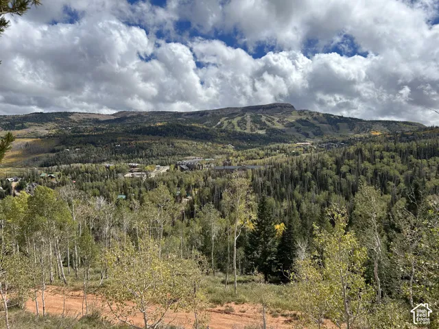 Elevated terrain with distant mountain, expansive woodland, and scattered structures