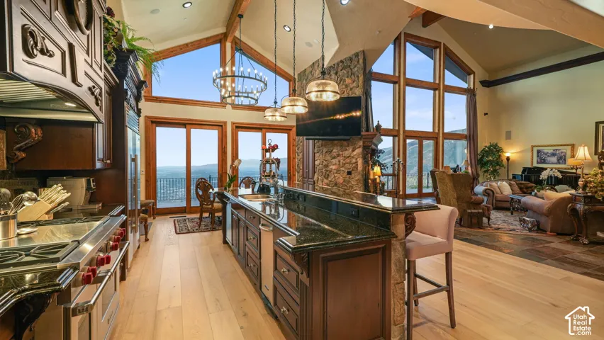 Gourmet kitchen with stainless steel appliances, dark wood cabinetry, and granite countertops