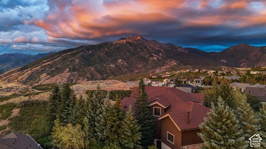 Mountainous scenery with abundant evergreen trees