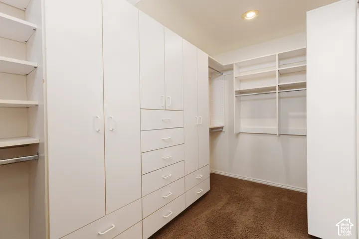 Built-in cabinetry, white flat-panel doors, varied shelving, and recessed lighting