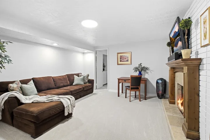 Lower level family room