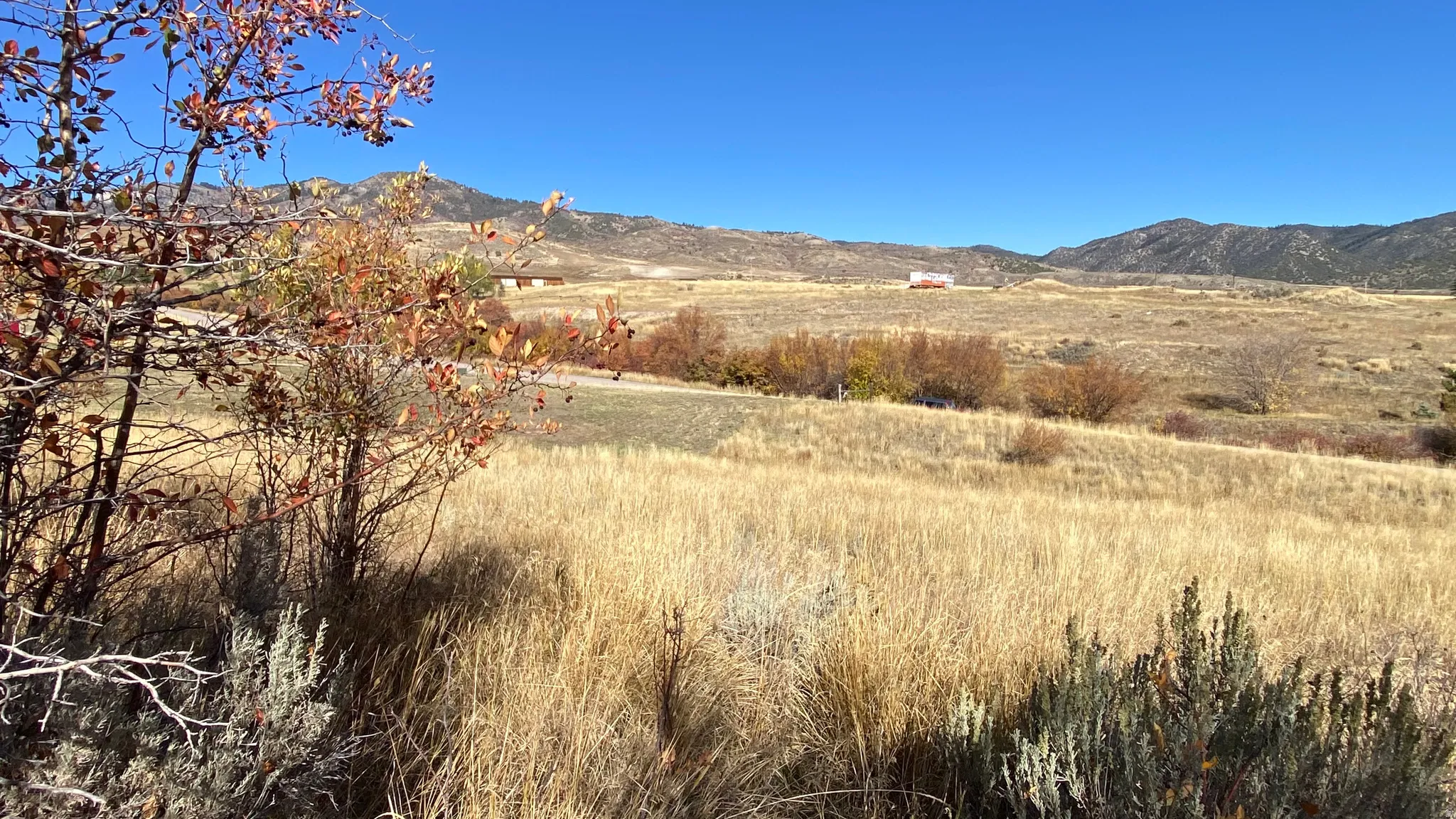 Expansive landscape featuring distant mountains, varied ground cover, and natural vegetation