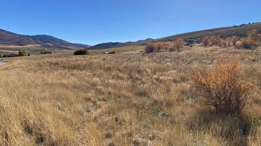 Expansive undeveloped land with natural vegetation and distant mountains