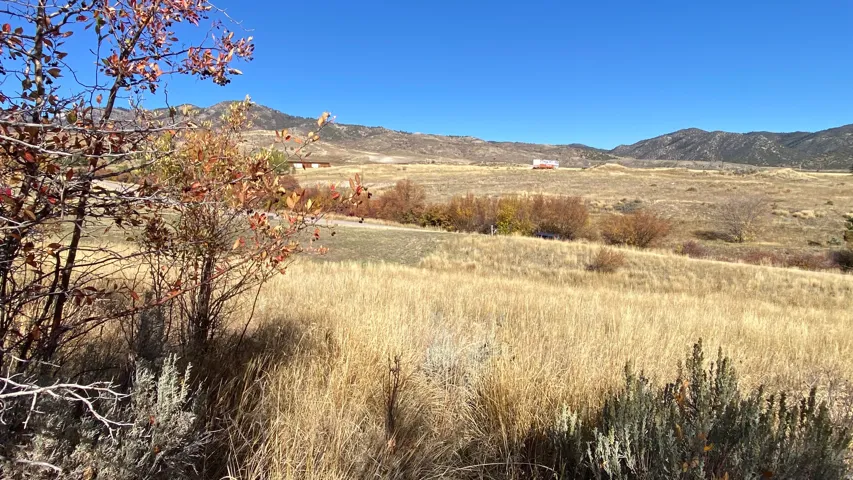 Expansive landscape featuring distant mountains, varied ground cover, and natural vegetation