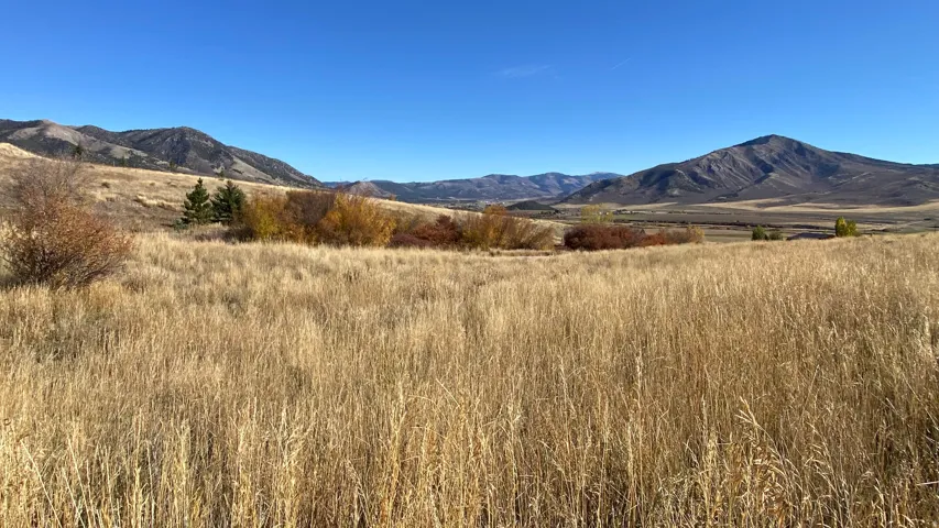Expansive natural landscape featuring golden grasses, scattered brush, and distant mountains under a clear sky