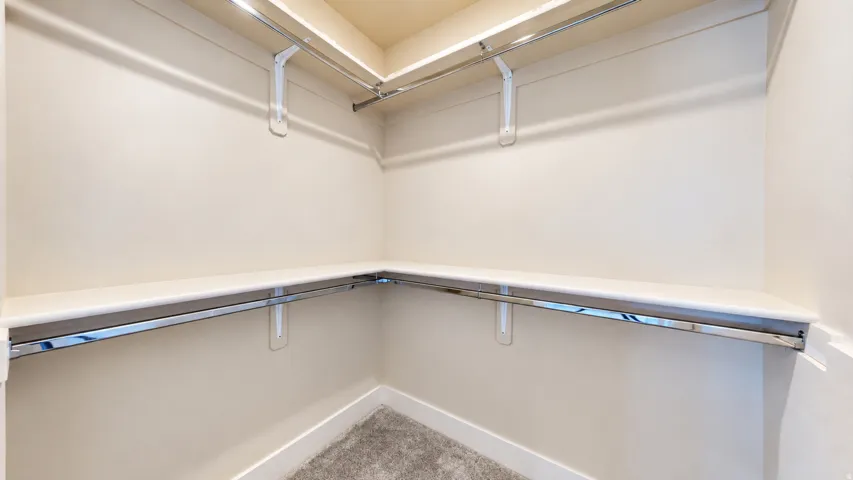 Walk-in closet featuring carpet flooring, built-in shelving, and chrome hanging rods
