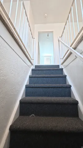 Staircase featuring carpeted treads, white painted risers, and white balusters with a matching handrail