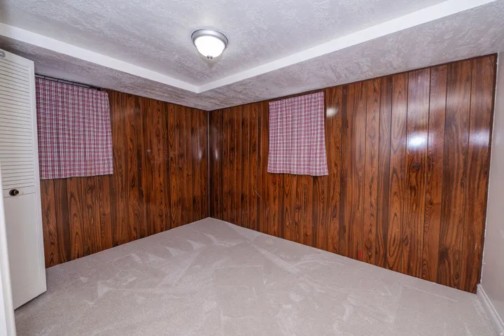 Room featuring wood-finish paneling, light-colored carpeting, white ceiling, and a flush-mount ceiling light