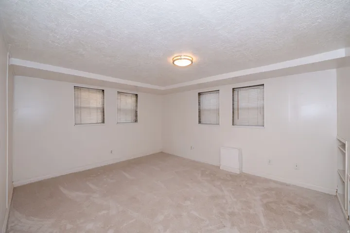 Recessed windows with blinds, built-in shelving, flush-mount ceiling light, and wall-to-wall carpeting