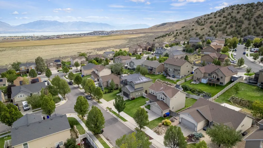 Residential neighborhood with paved streets and mature trees, featuring varied architectural styles, nestled at the base of a verdant hill, with distant mountains and a body of water on the horizon
