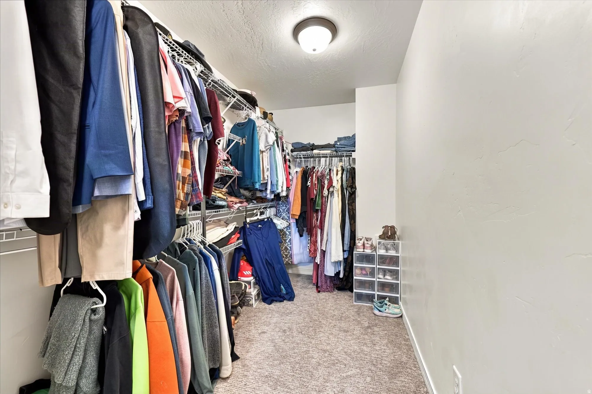 Walk-in closet featuring wire shelving, carpeting, and a flush-mount ceiling light