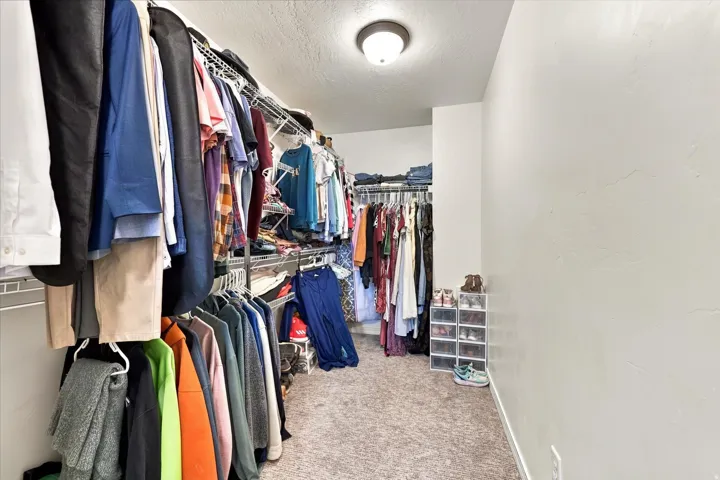 Walk-in closet featuring wire shelving, carpeting, and a flush-mount ceiling light