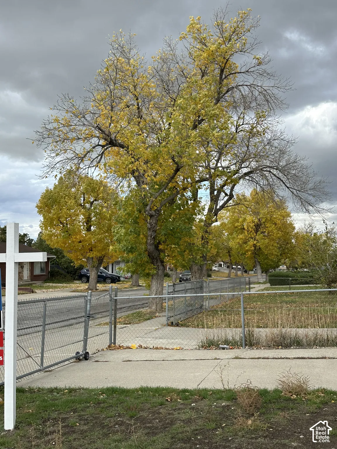 Chain-link perimeter fencing, concrete walkway, and mature deciduous trees