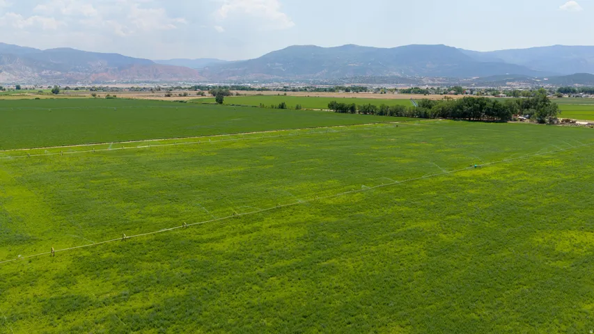 Expansive agricultural land featuring a verdant crop, irrigation system, and distant mountains