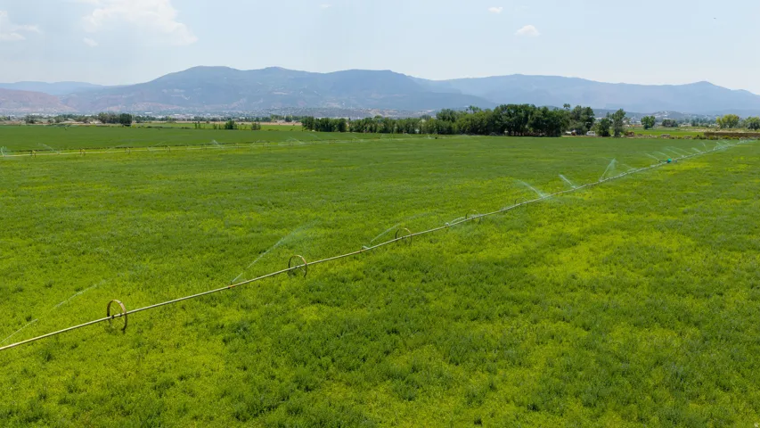 Expansive green field with an irrigation system