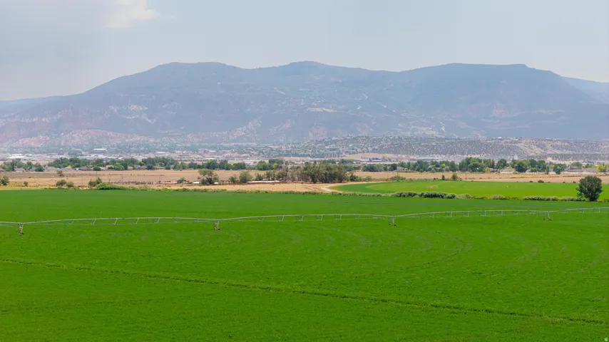 Expansive green fields with irrigation systems