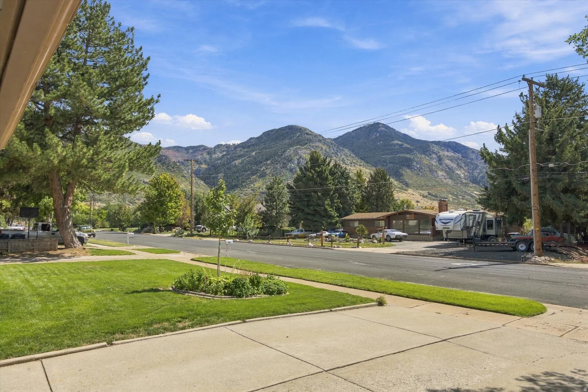 Expansive paved driveway and street, complemented by mature trees and a manicured lawn