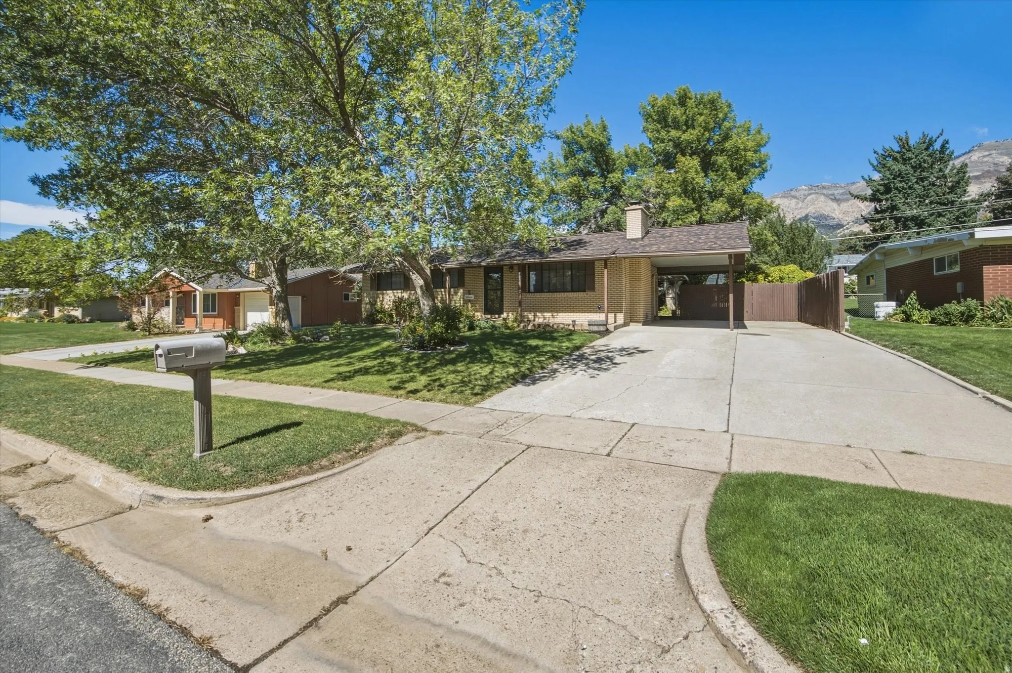 Single-story residence featuring a carport, concrete driveway, and established landscaping