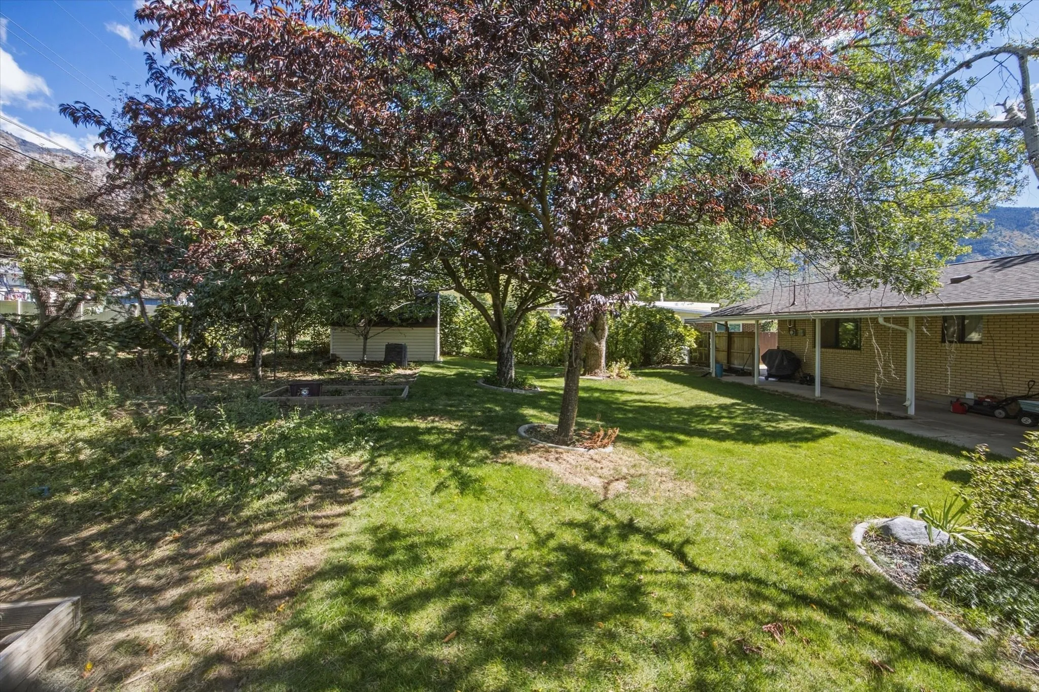 Expansive backyard featuring a manicured lawn, established trees, and a covered patio