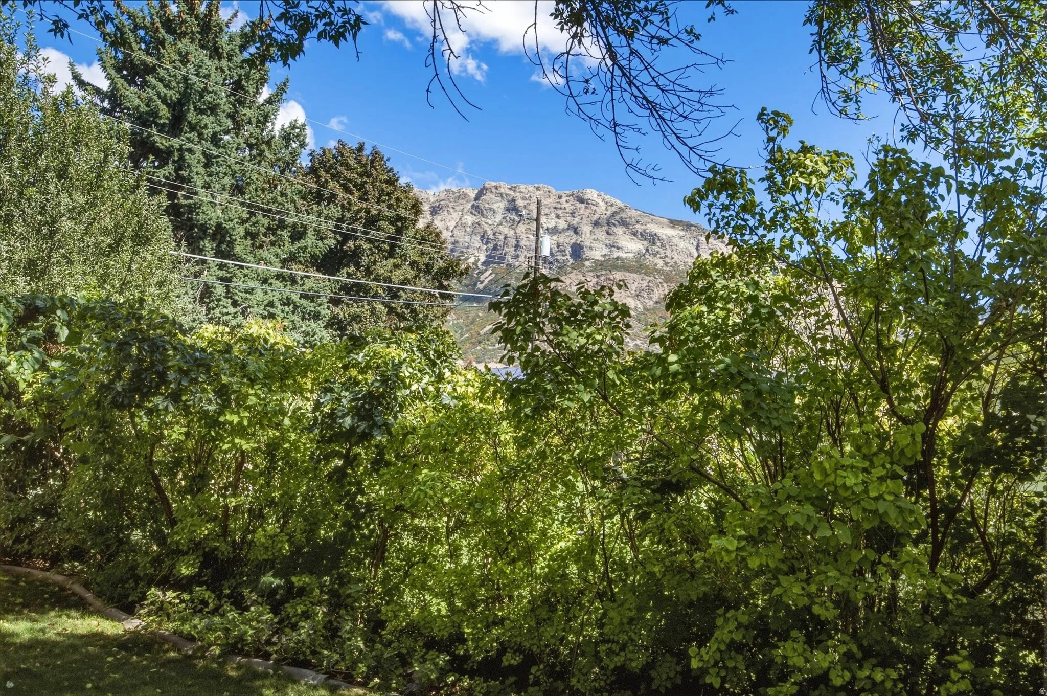 Lush greenery surrounding with a mountainous backdrop