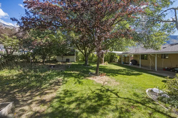 Expansive backyard featuring a manicured lawn, established trees, and a covered patio