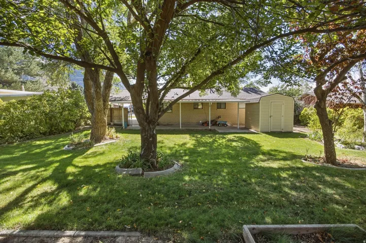 Expansive green lawn with mature trees and a rear covered patio
