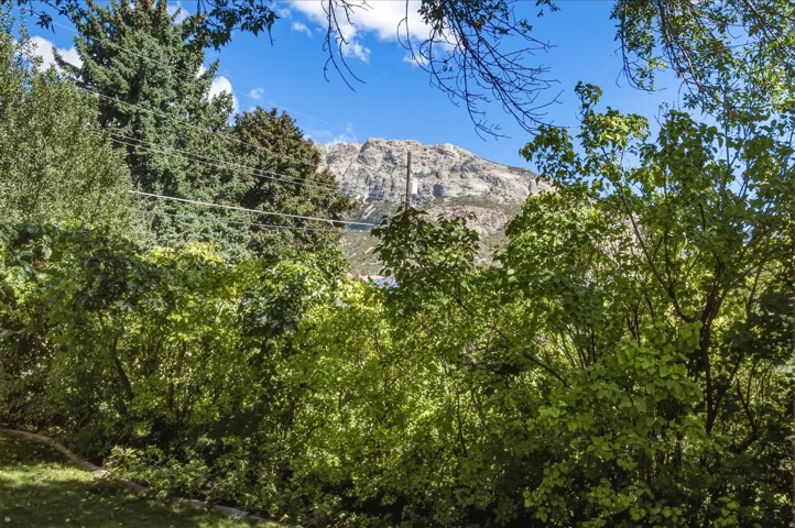 Lush greenery surrounding with a mountainous backdrop