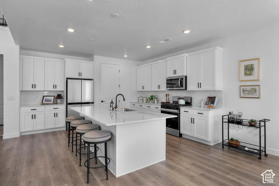 Kitchen featuring white cabinetry, wood-finish flooring, recessed lighting, a large central island, and stainless steel appliances