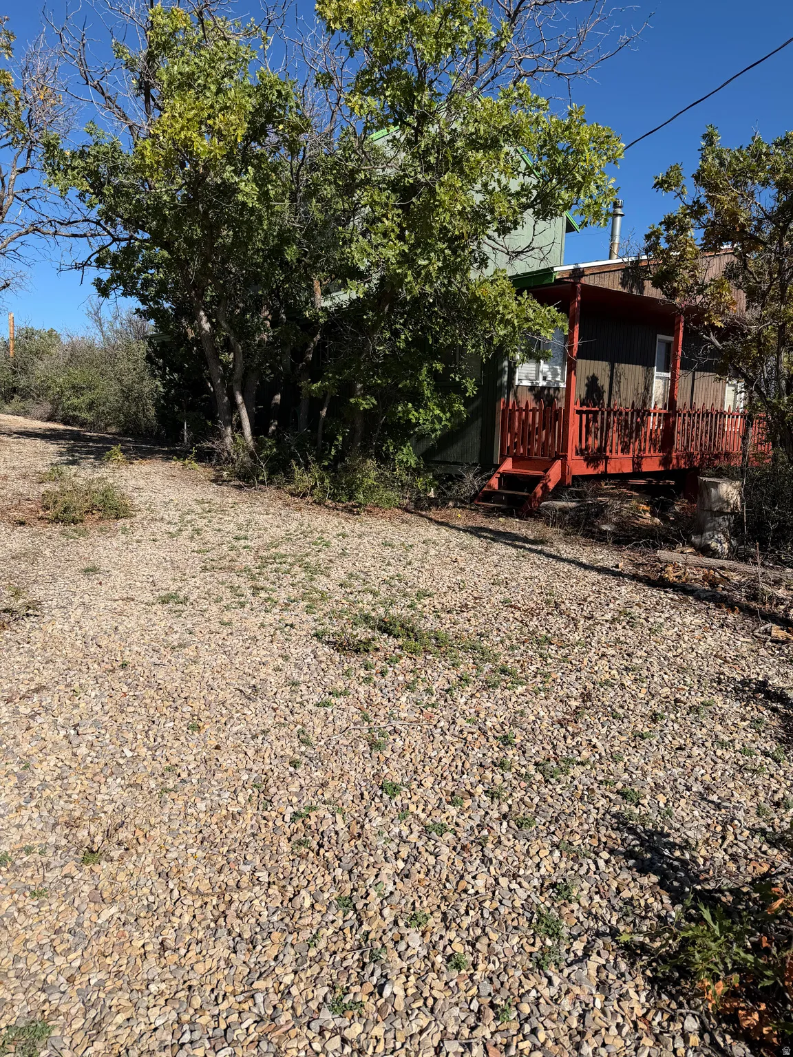 Gravel driveway with natural landscaping