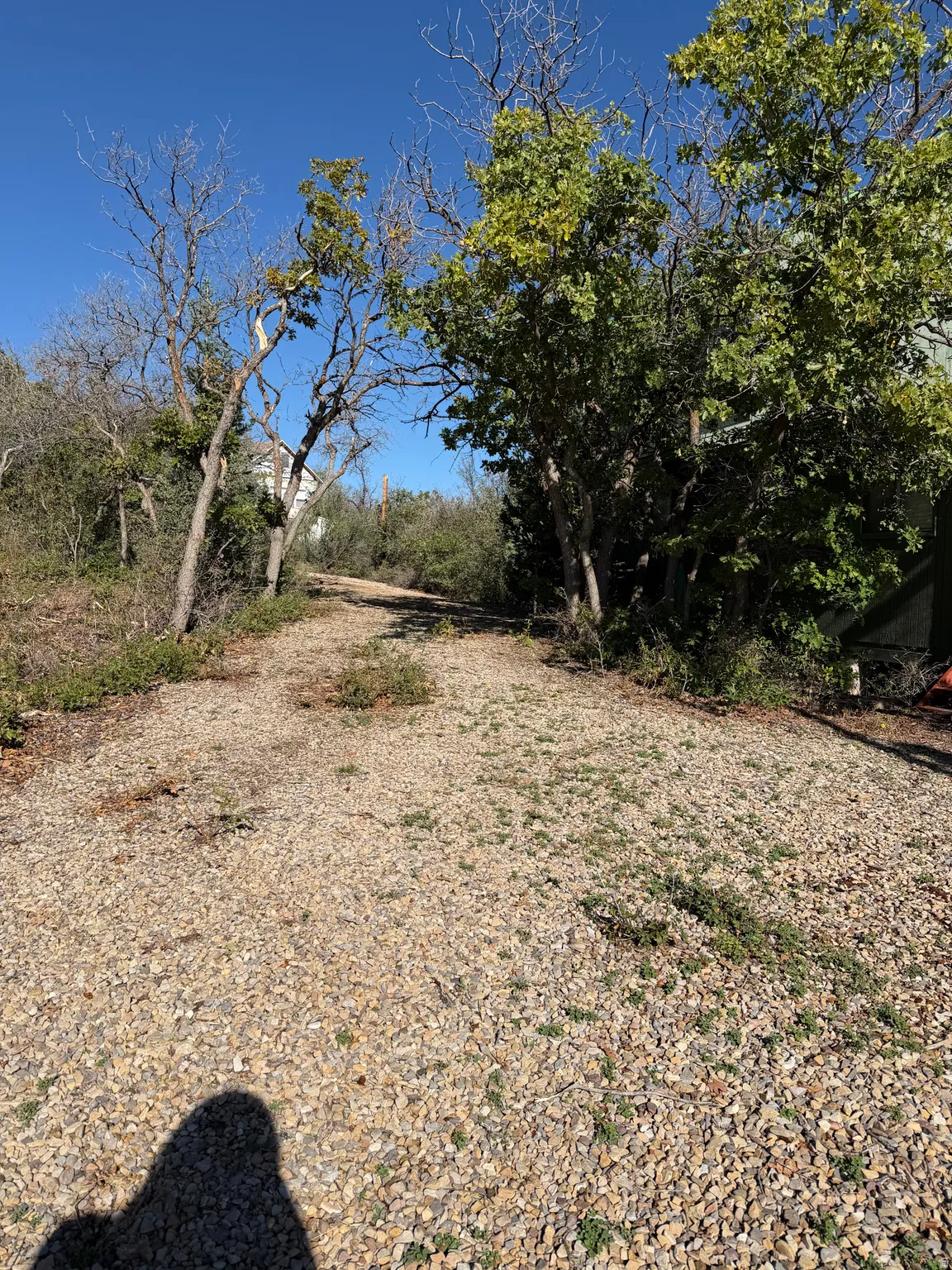 Gravel pathway bordered by mature trees and natural landscaping