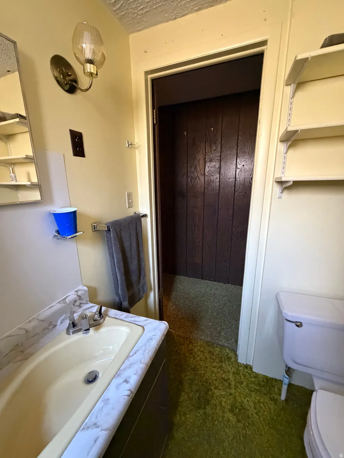 Vanity with a single basin, a wall-mounted light fixture, and track shelving
