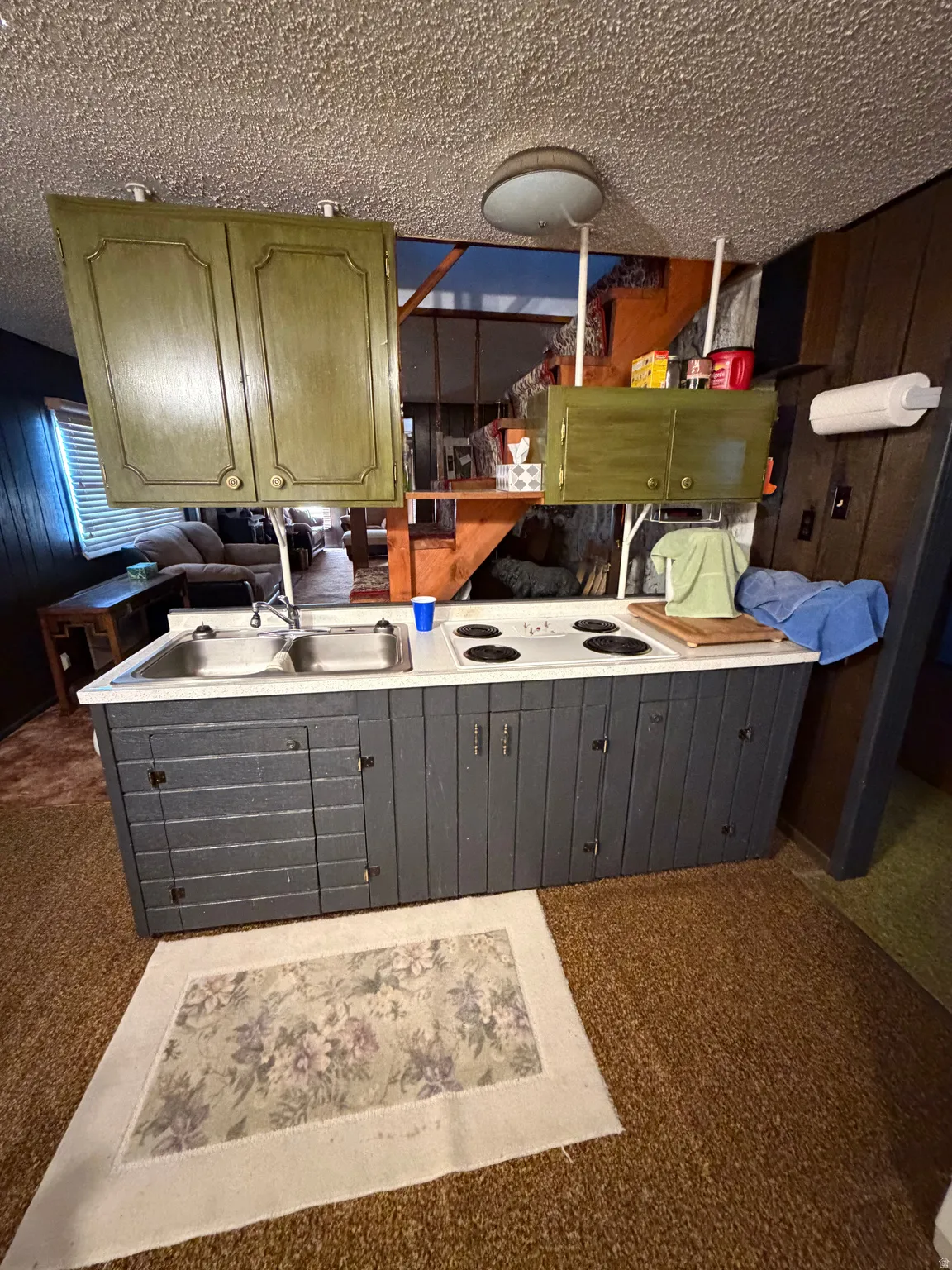 Kitchenette with a dual basin sink, built-in electric stovetop, and overhead cabinetry