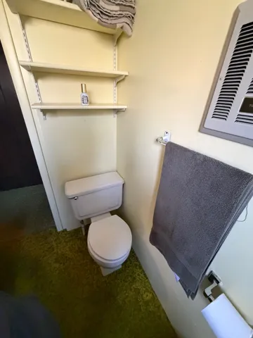 Wall-mounted shelving units, white toilet, and carpet flooring