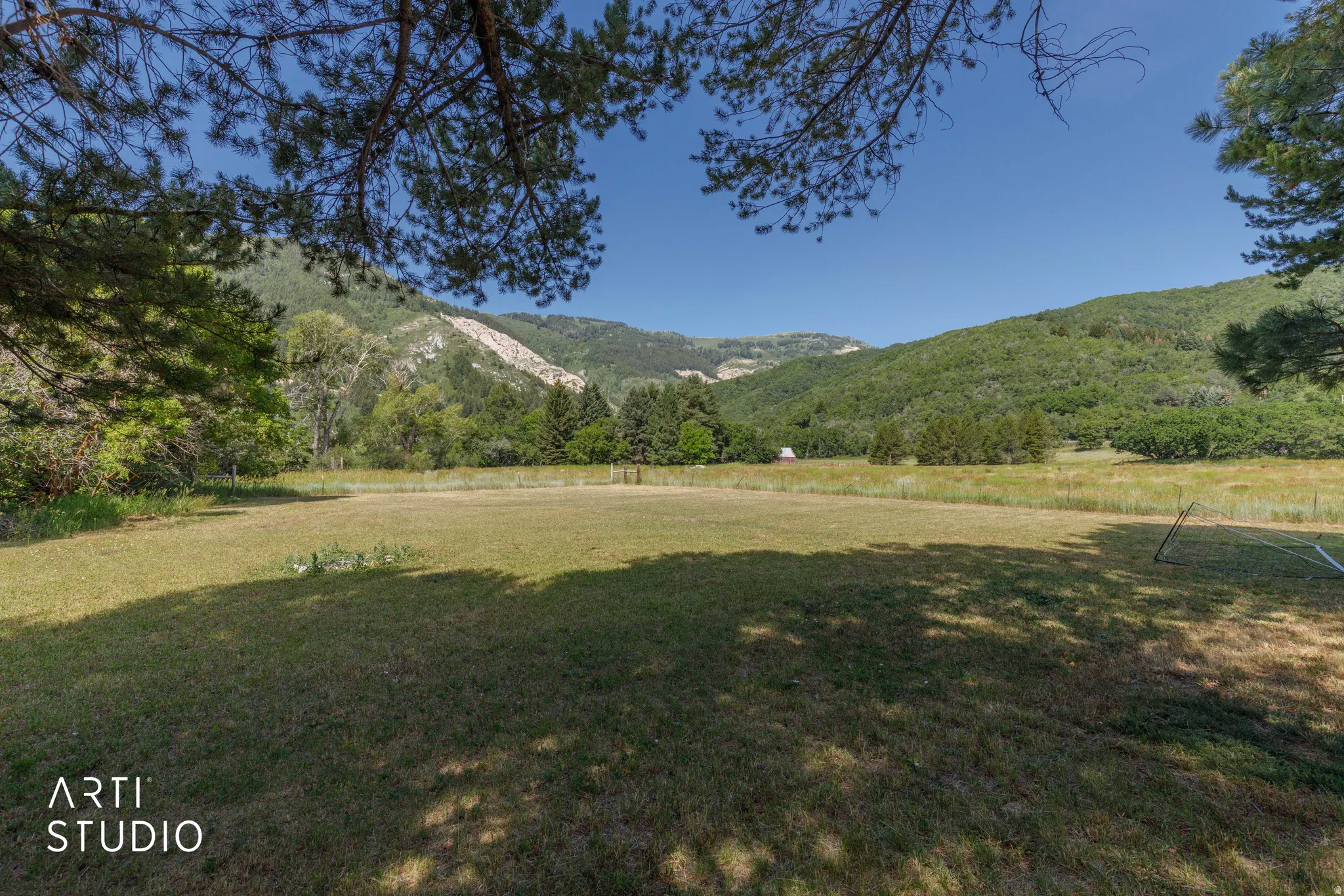 Expansive grassy area with mature trees and mountain scenery