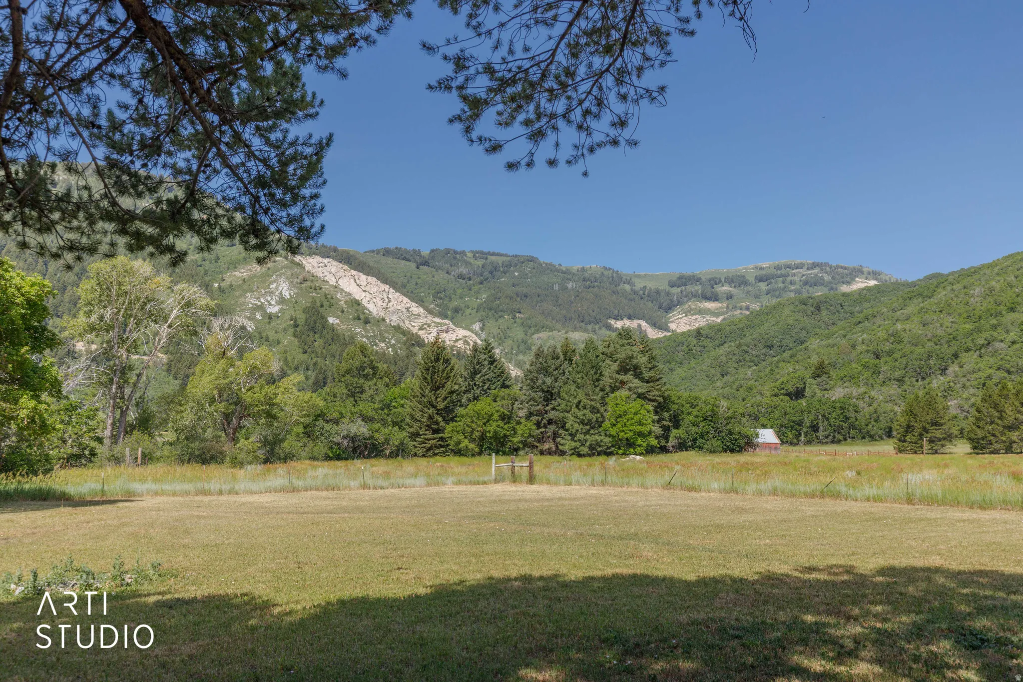 Expansive open field with green ground cover, bordered by diverse mature trees and a distant red barn structure