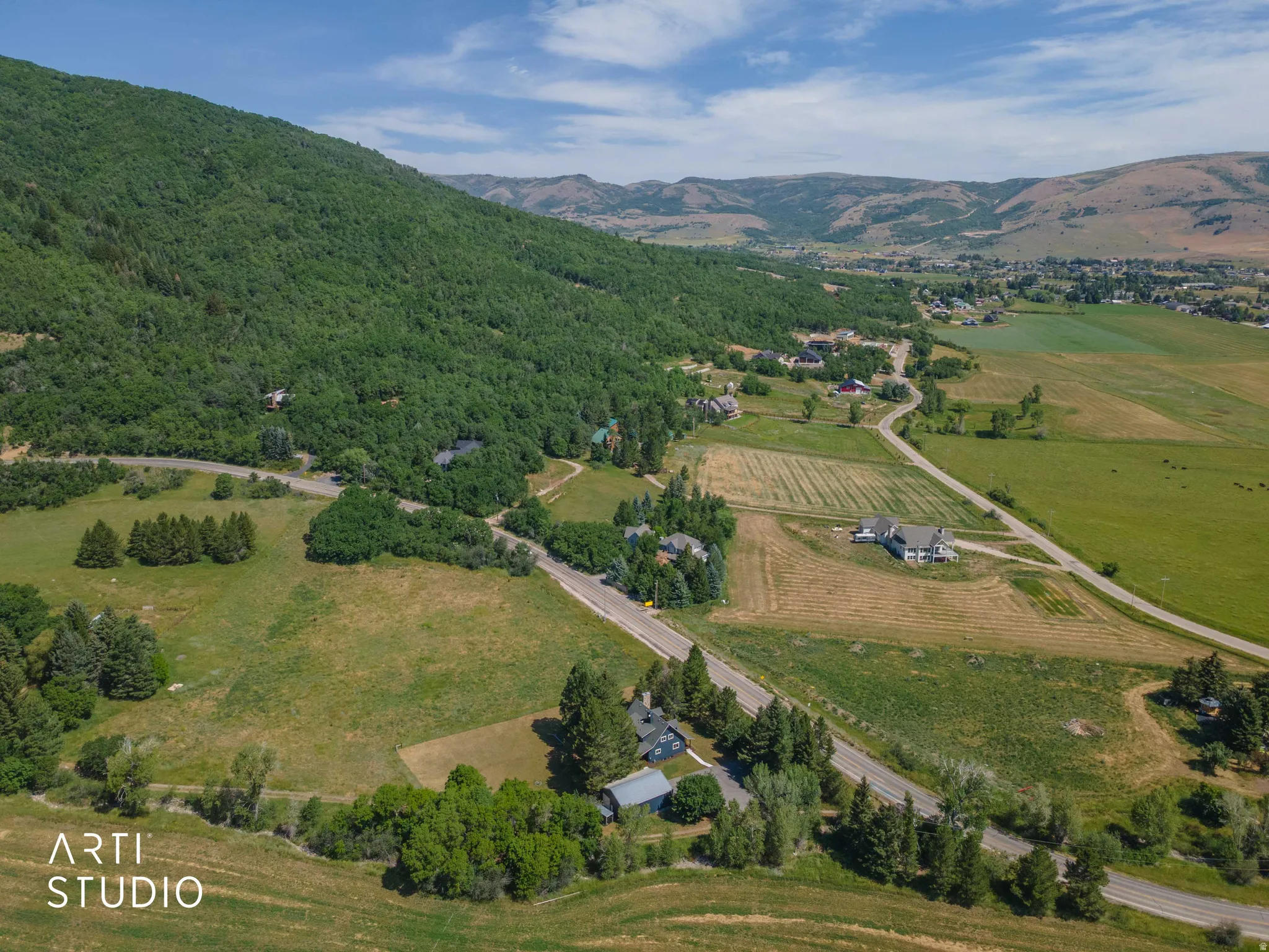 Expansive rural landscape with a winding paved road, surrounded by mature trees, vast green fields, and distant mountains
