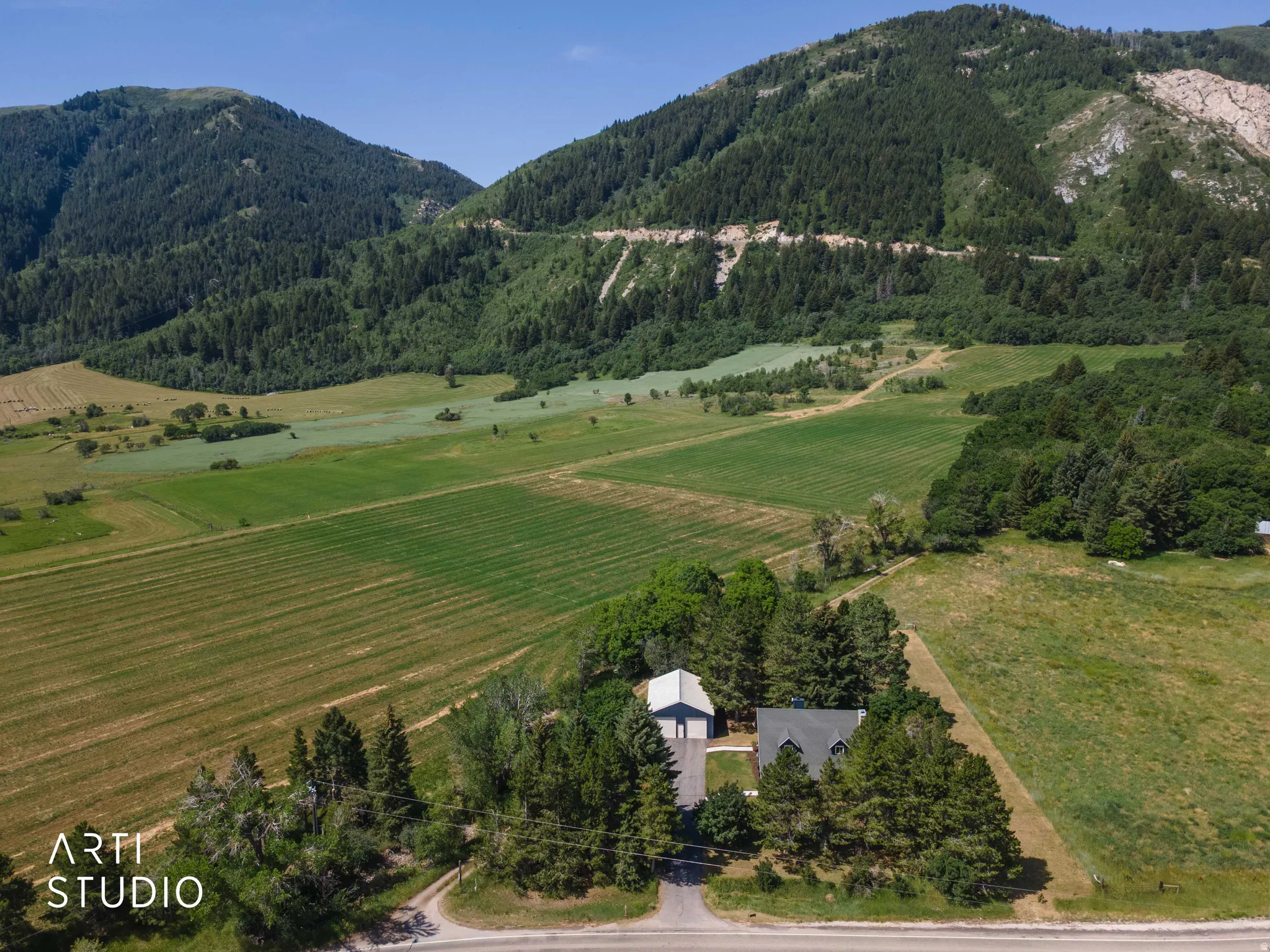 Expansive green acreage with mature trees and mountain scenery