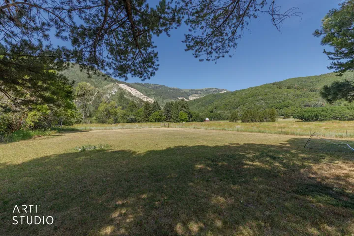 Expansive grassy area with mature trees and mountain scenery