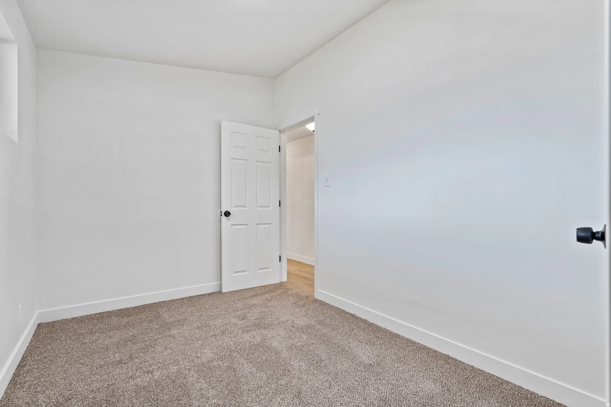 Neutral-toned carpeting, white walls, and a paneled interior door with matte black hardware